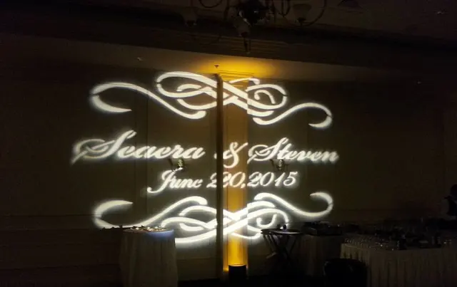 Paradise Productions and DJ Services — photo from the business 3