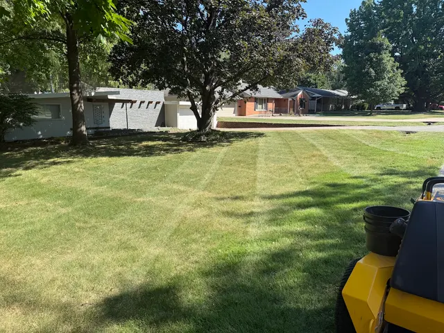 Big Dad and Sons Lawn and Tree Care Services LLC — photo from the business 3