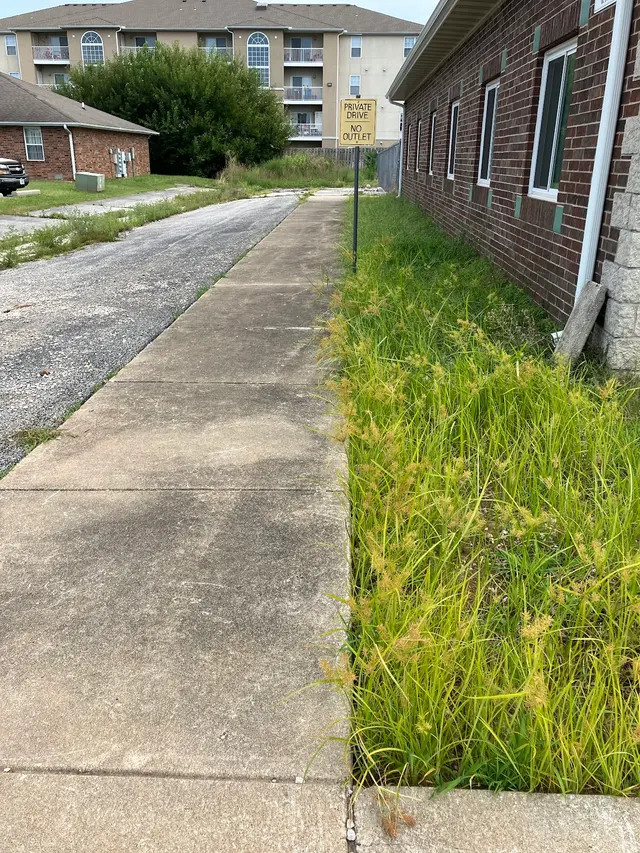 Big Dad and Sons Lawn and Tree Care Services LLC — customer photo 10