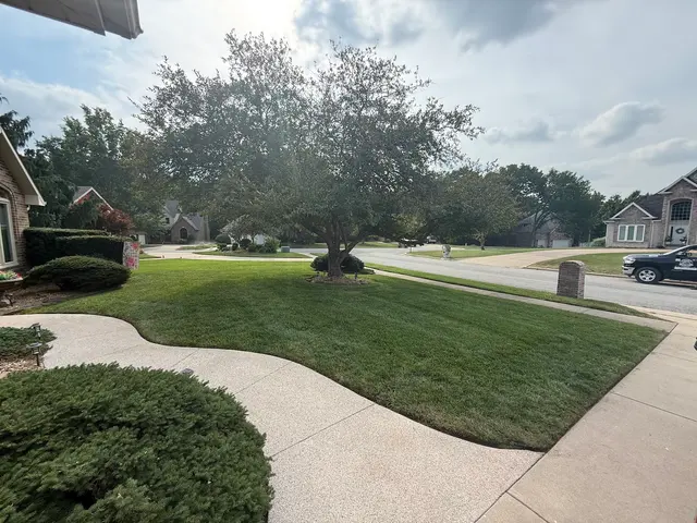 Big Dad and Sons Lawn and Tree Care Services LLC — photo from the business 2