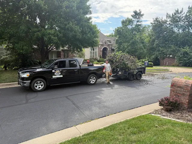 Big Dad and Sons Lawn and Tree Care Services LLC — photo from the business 5