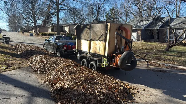 Big Dad and Sons Lawn and Tree Care Services LLC — photo from the business 6