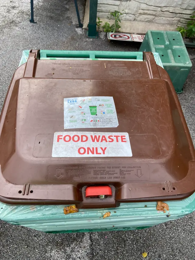 Customer photo of work by Marion Orton Recycling Center, from Coach T's review