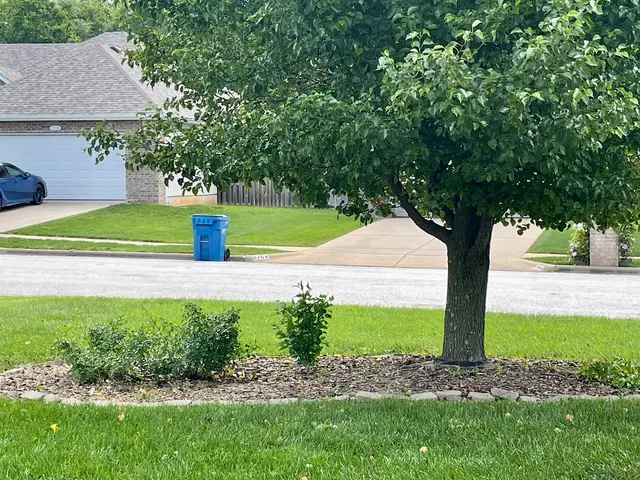 Everest Greenz — customer photo 6