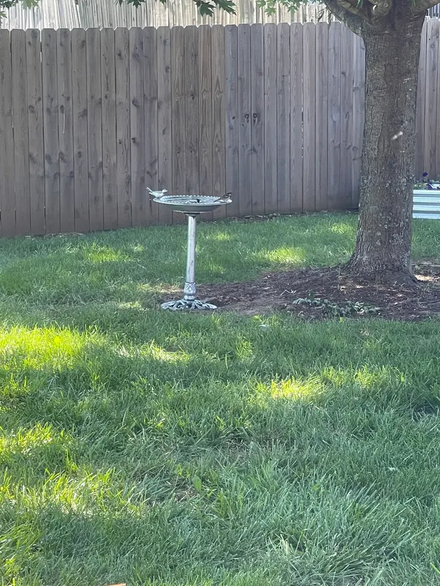 Everest Greenz — customer photo 5