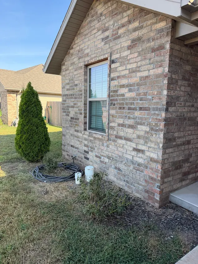 Everest Greenz — customer photo 1
