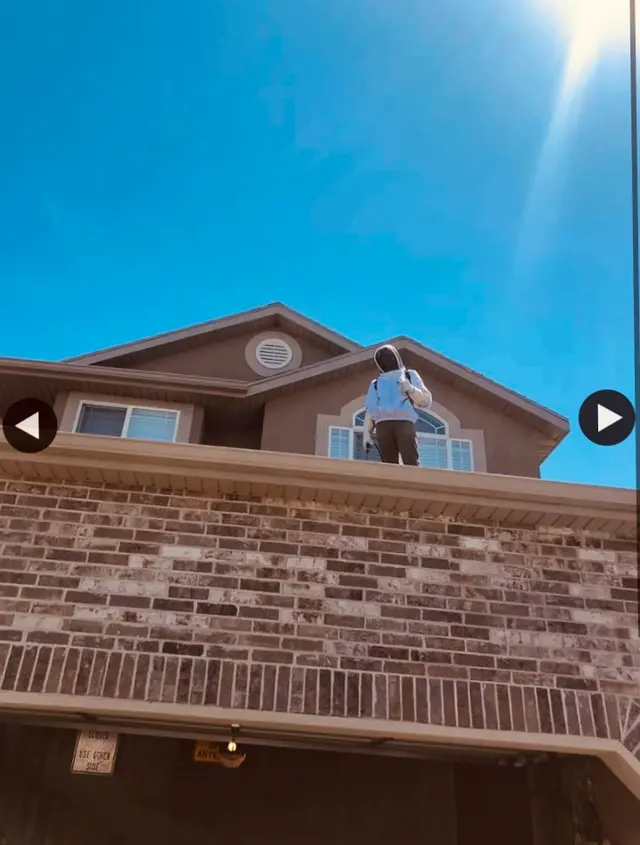 Bug Bully Pest Control — photo from the business 11
