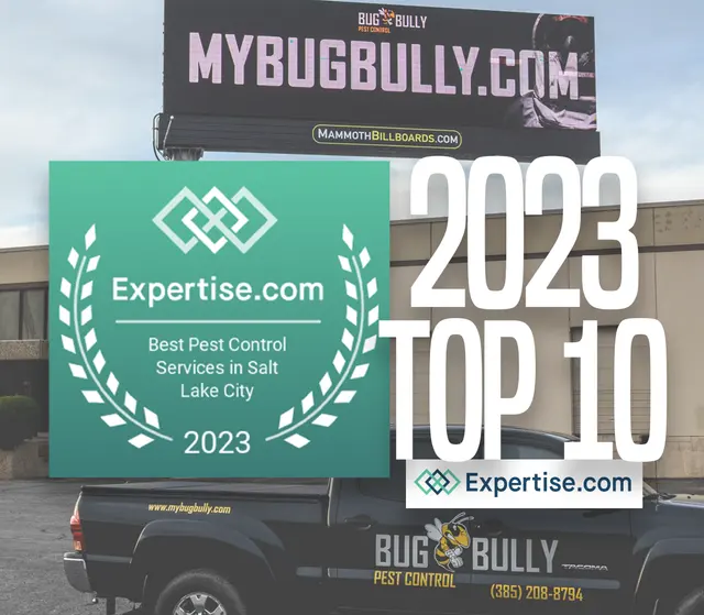 Bug Bully Pest Control — photo from the business 2