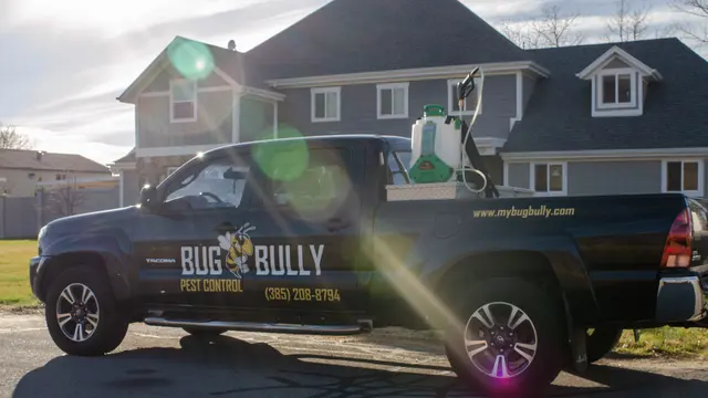 Bug Bully Pest Control — photo from the business 1