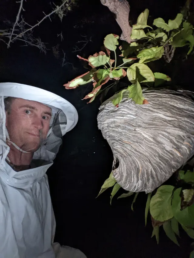 Eyring Pest — photo from the business 11