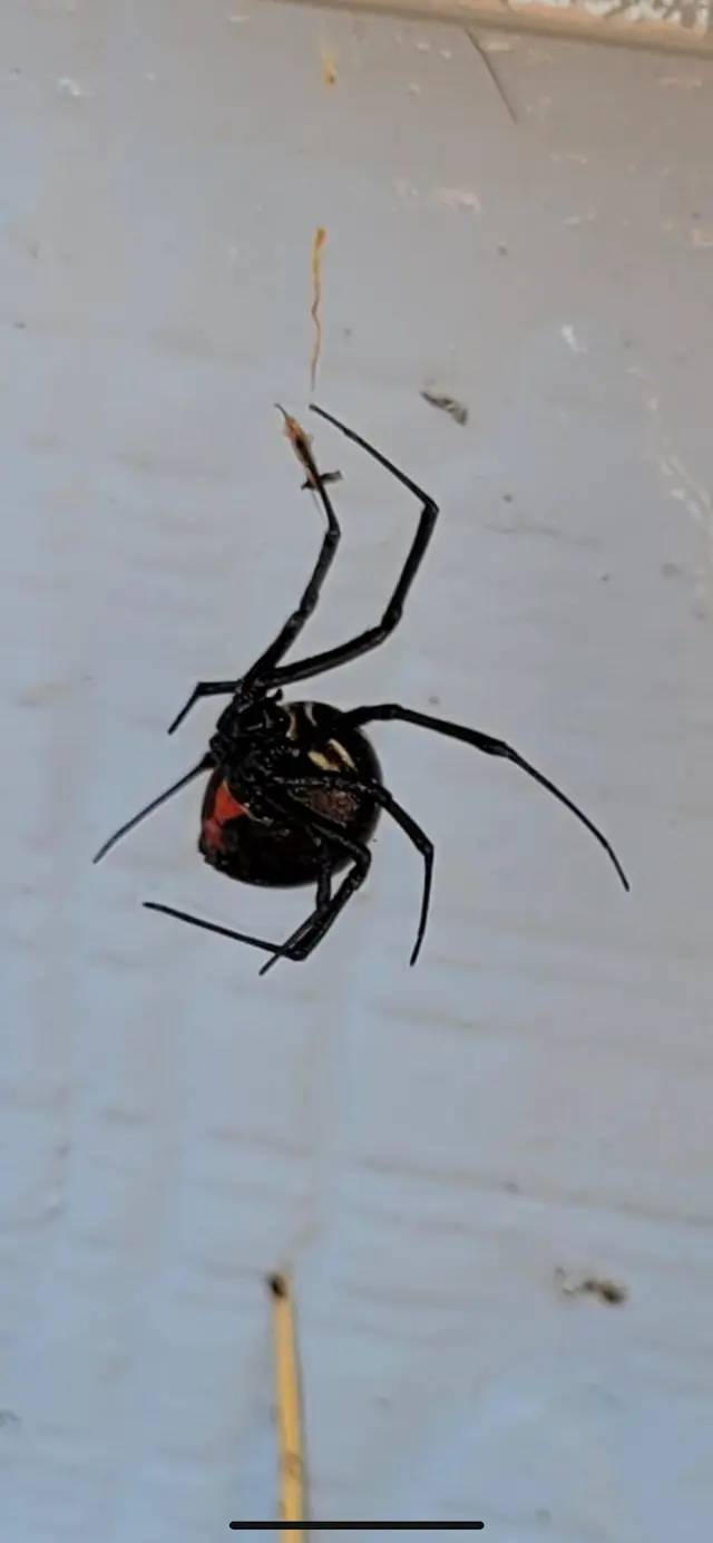 A-1 Exterminators — photo from the business 12
