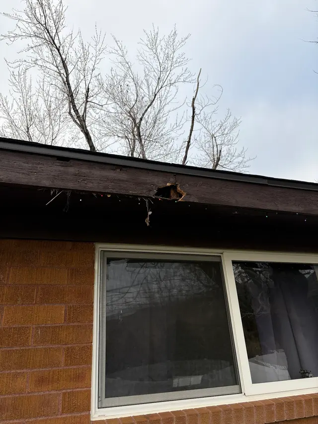 Mountain West Pest Control — customer photo 9