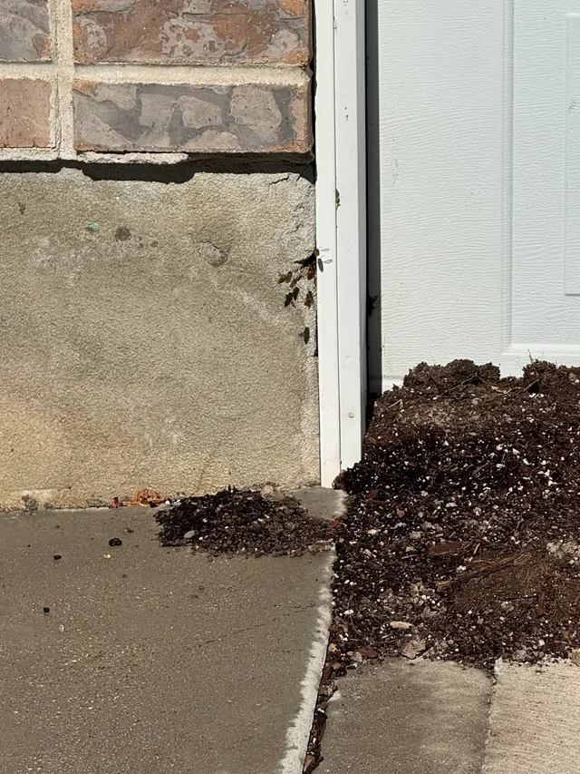 Mountain West Pest Control — customer photo 6