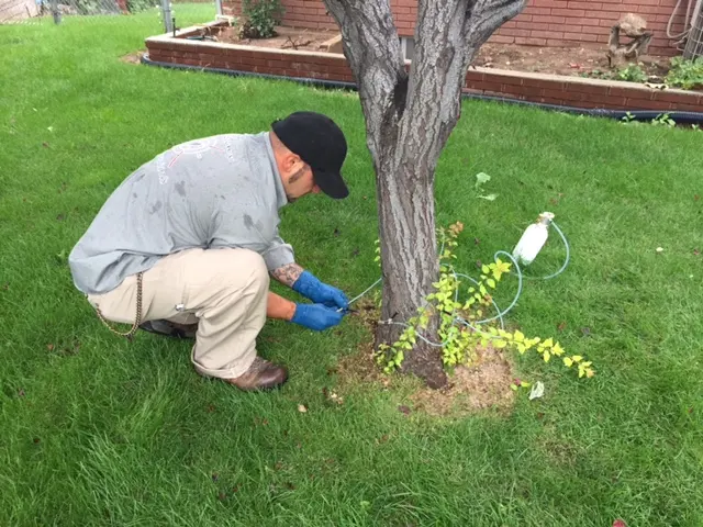 Legacy Pest Control — photo from the business 7