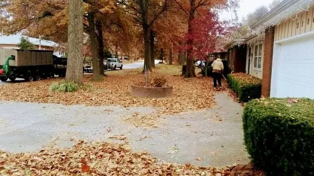 Oasis Lawncare, LLC — photo from the business 4