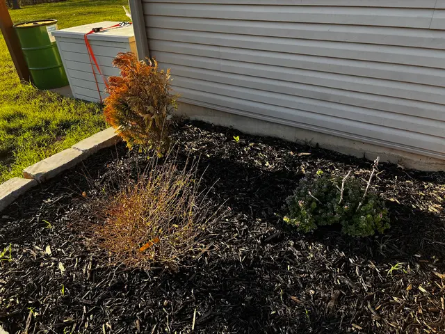 Customer photo of work by Oasis Lawncare, LLC, from ken clark's review