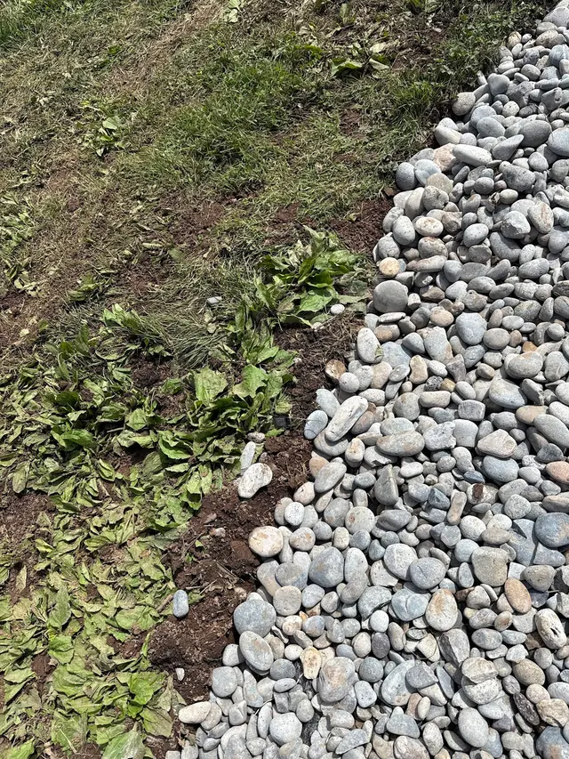 Customer photo of work by Oasis Lawncare, LLC, from Pam LeCompte's review