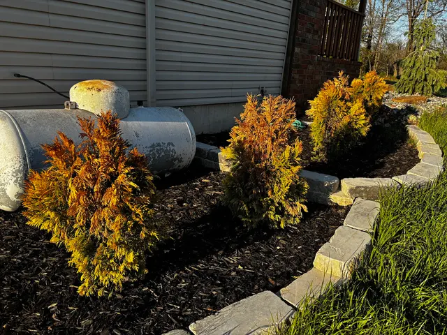 Customer photo of work by Oasis Lawncare, LLC, from ken clark's review