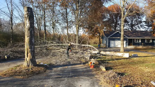 Oasis Lawncare, LLC — customer photo 9