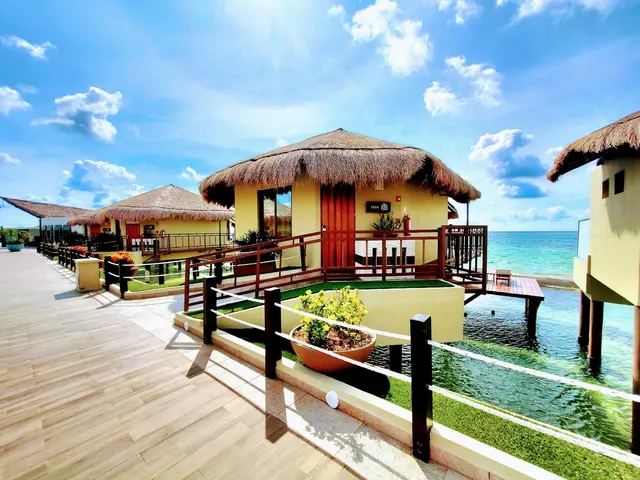 Cruise Planners — photo from the business 2