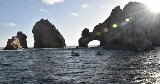 Cruise Planners — photo from the business 9