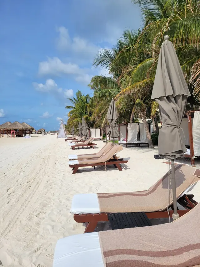 Cruise Planners — photo from the business 6