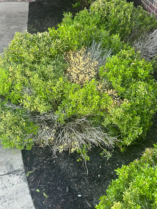 Lampson Lawn Service LLC — customer photo 6