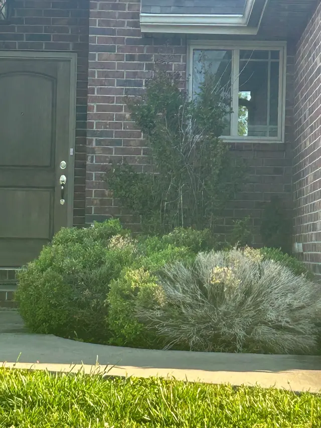 Lampson Lawn Service LLC — customer photo 11