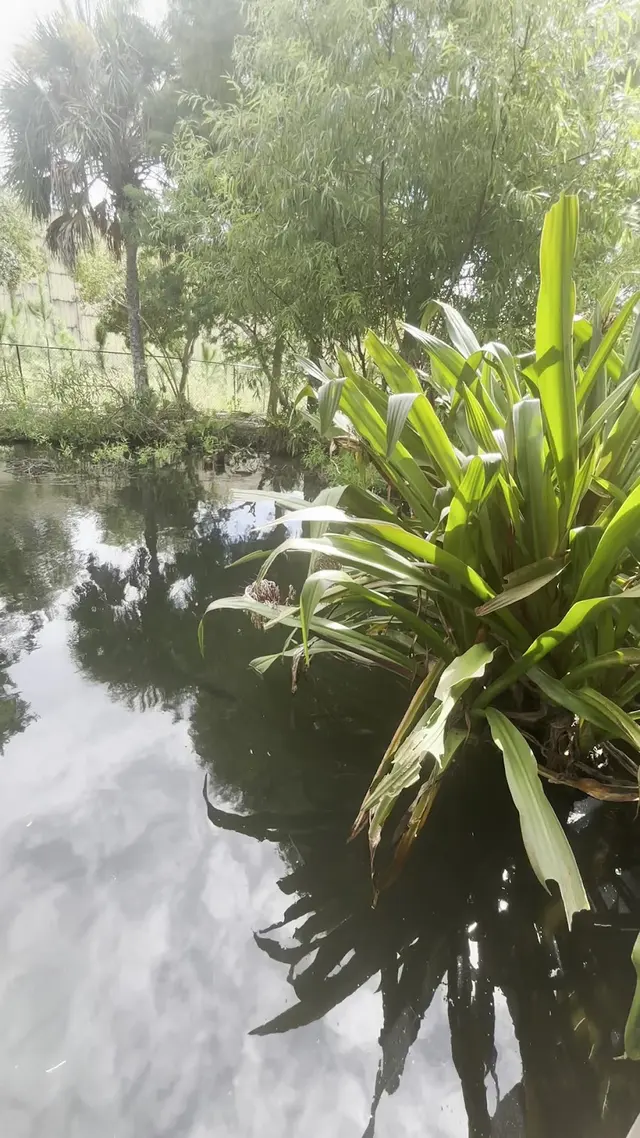 Visit Central Florida Welcome Center — customer photo 5
