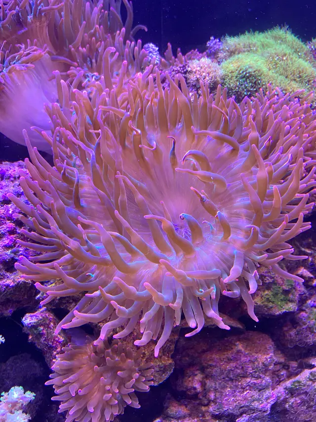 Tank Me Later Aquarium & Pond Services — photo from the business 6