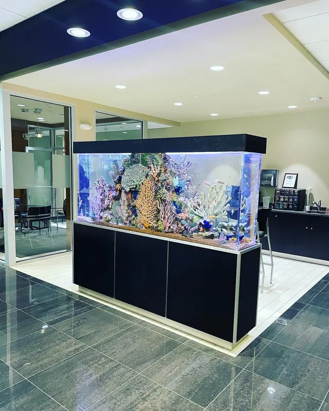 Tank Me Later Aquarium & Pond Services — photo from the business 4