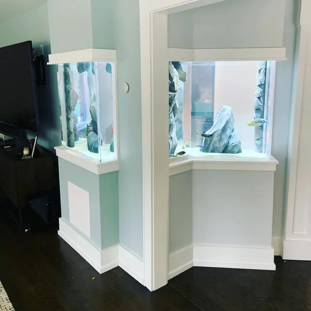 Tank Me Later Aquarium & Pond Services — photo from the business 10