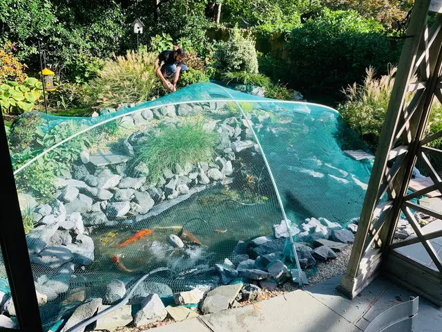 Tank Me Later Aquarium & Pond Services — photo from the business 12