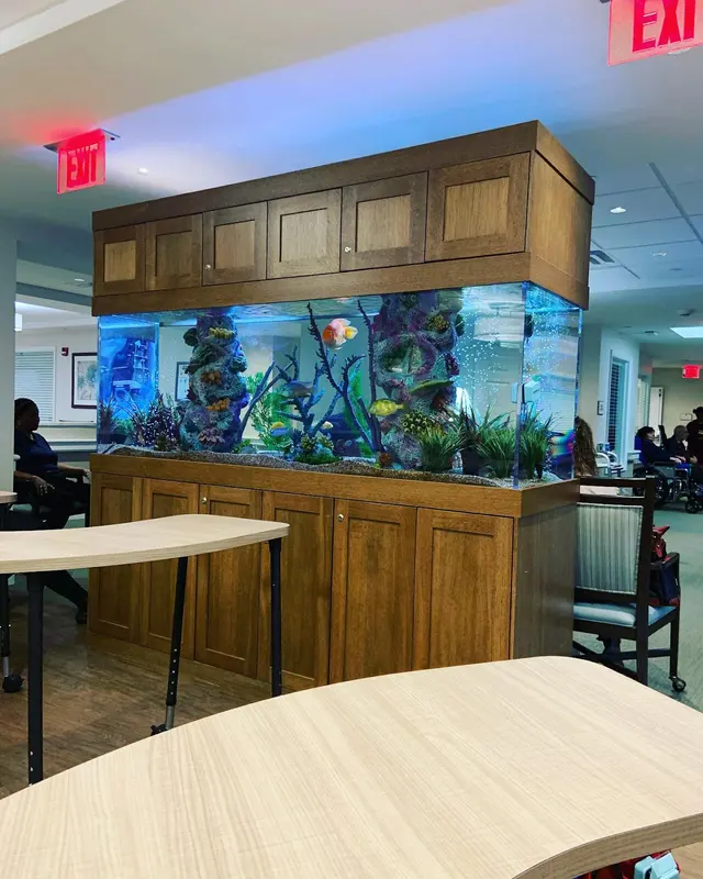 Tank Me Later Aquarium & Pond Services — photo from the business 8