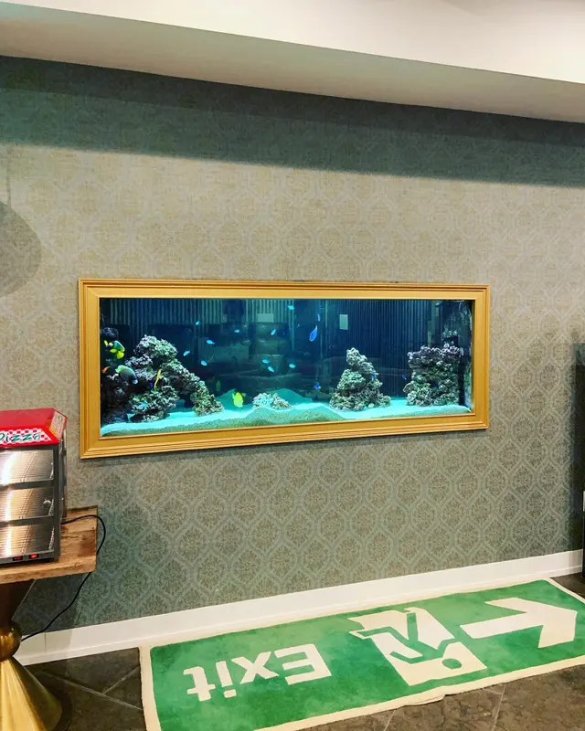 Tank Me Later Aquarium & Pond Services — photo from the business 11