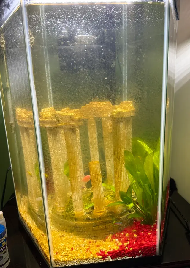 Tank Me Later Aquarium & Pond Services — customer photo 3
