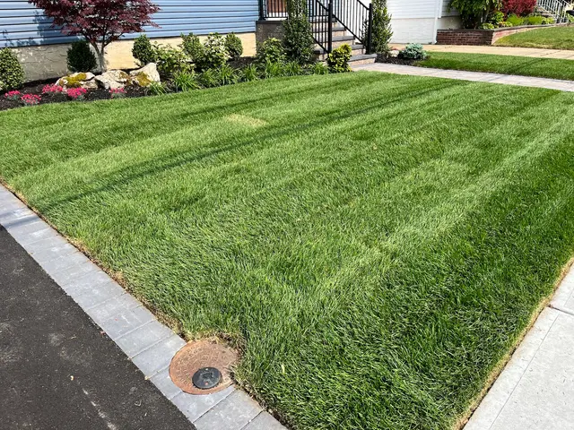 Joseph Daniele Landscape Design — customer photo 5
