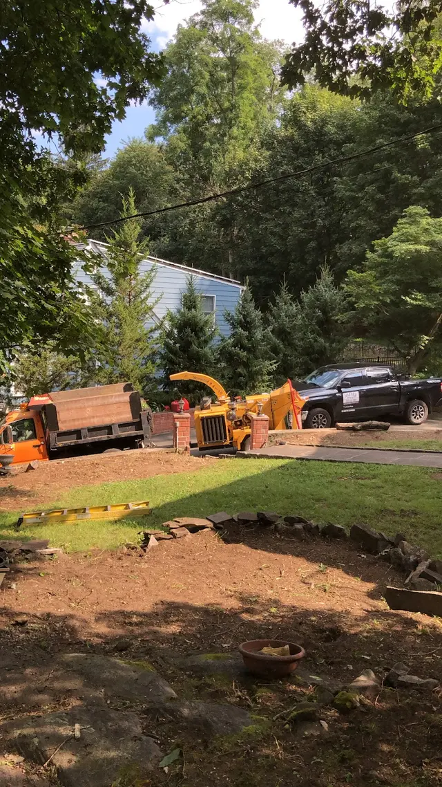 Angels Landscaping Tree Work & Design — photo from the business 11