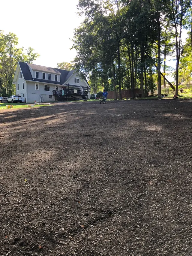 Angels Landscaping Tree Work & Design — photo from the business 10