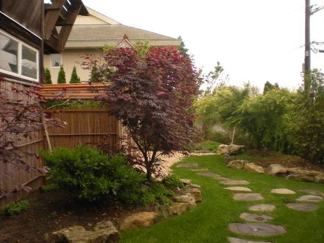 Scott Anderson Design — photo from the business 5