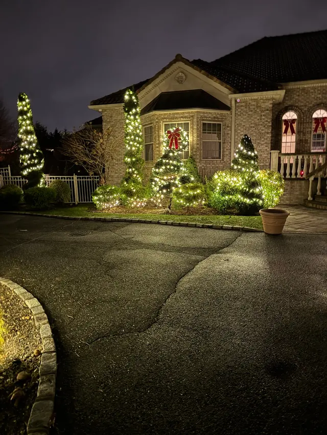 Scott Anderson Design — customer photo 3