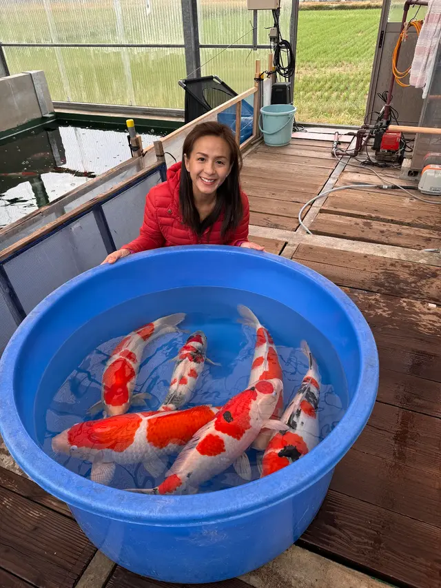 Torii Koi and Pond — photo from the business 8