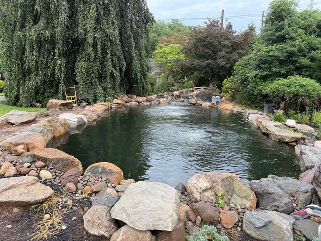 Torii Koi and Pond — customer photo 4