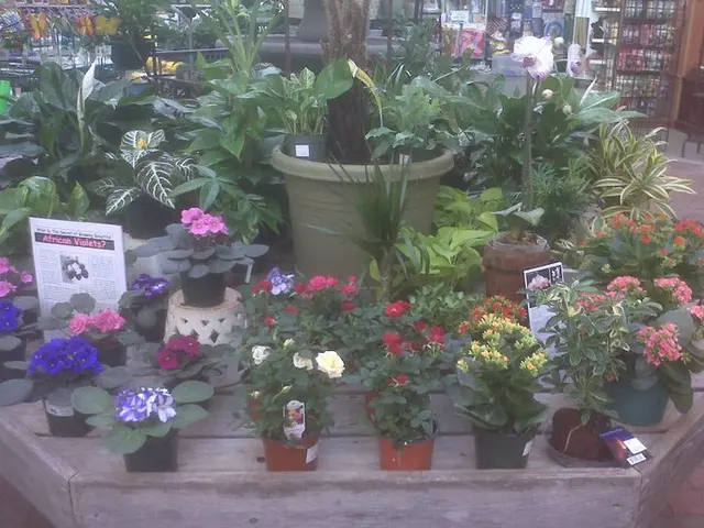 Starkie Bros Garden Center — photo from the business 2