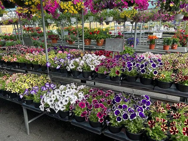 Starkie Bros Garden Center — photo from the business 7