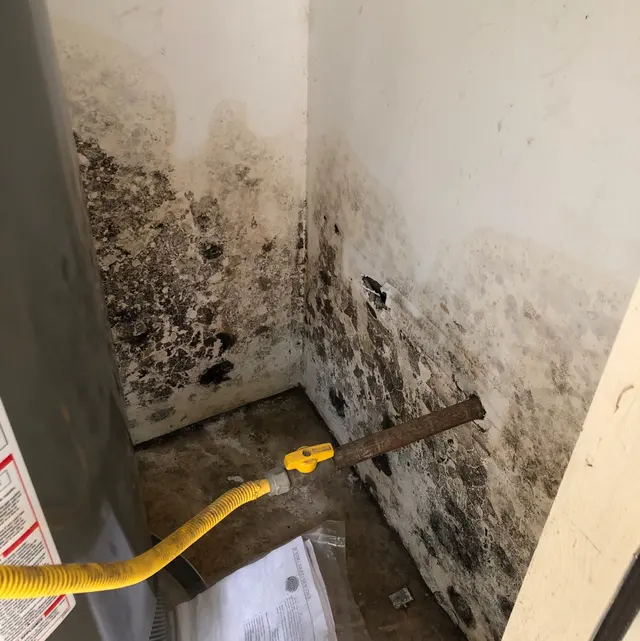 Rio Bravo Home Inspections — photo from the business 2
