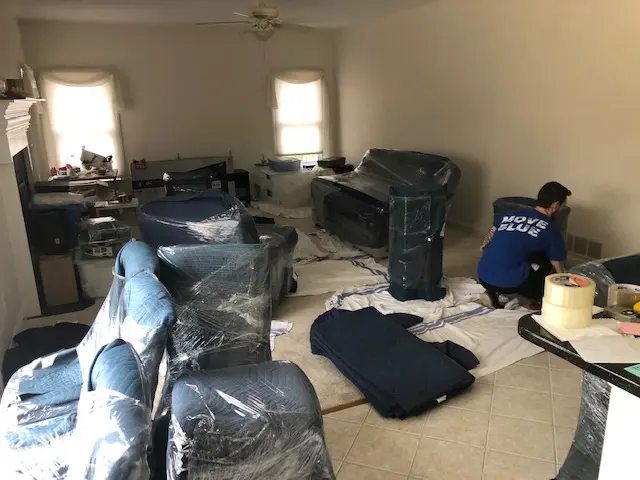 Blue Men Moving | Columbus — photo from the business 6