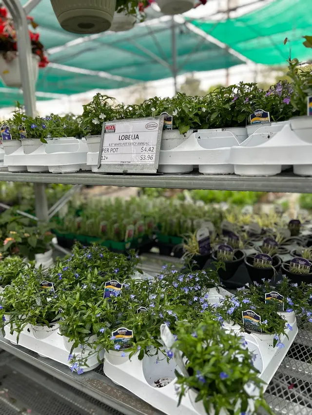 Nixa Hardware & Seed Company — customer photo 6