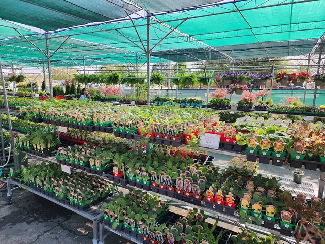 Nixa Hardware & Seed Company — photo from the business 2