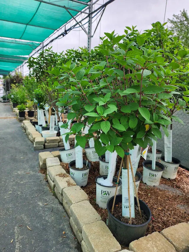 Nixa Hardware & Seed Company — photo from the business 12